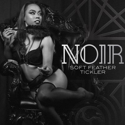 【NOIR】欲羽调情棒